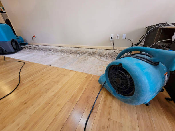 Professional Emergency Water Damage technician working in Woodstock, NH